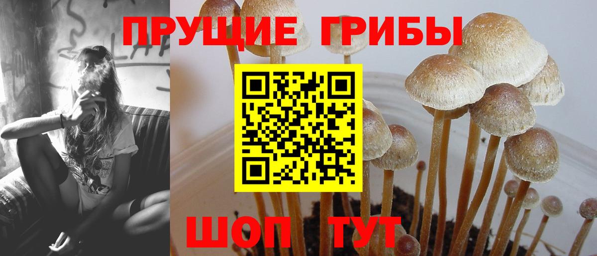 Псилоцибиновые грибы Magic Shrooms  Вход с VPN  Люберцы 