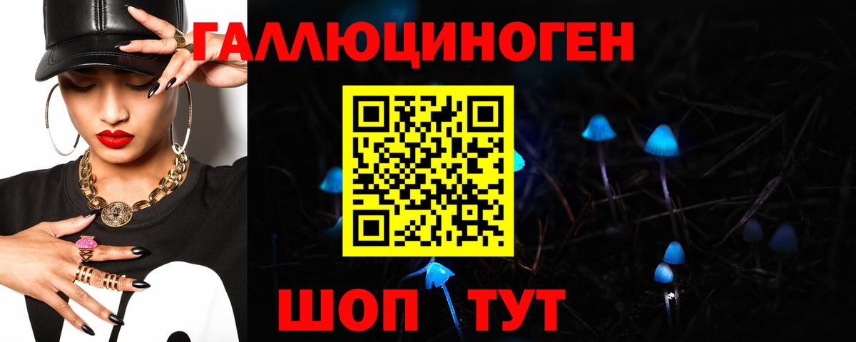 Псилоцибиновые грибы Psilocybine cubensis Люберцы